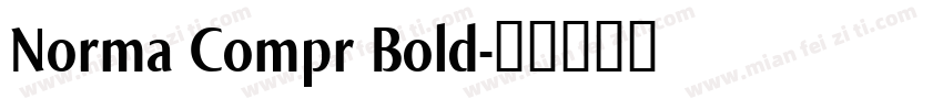 Norma Compr Bold字体转换
